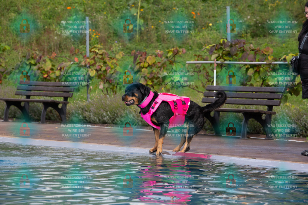 _HP_7590_1000o | HetPix, HetPix Fotodesign, Fotografie, Fotodesign, Webshop, Sportfotografie, Portraitfotografie, Onlineshop, Sportfotografie, Polch, Motorsportfotografie, Eventfotografie