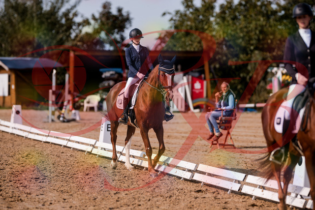2026_10_03_Siefer-Hof_133200_Z81_87710912 | Professionelle Reitsport-, Turnier- und Eventfotografie von Robert Broda. Galerien mit ausgewählten und bearbeiteten Bildern direkt online ansehen und bestellen.