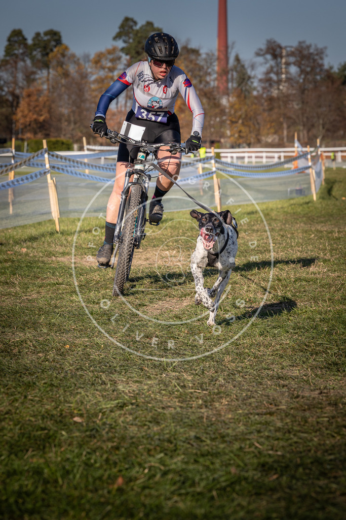 CaniXpix_0L8A6167 | Hundefotografie, Tierfotograf, Pfotenfotografie, Fotoshooting Hund, Hunde Portrait, Hundesport, Hundeportraits, Heideshooting, Hunde, Sportfotograf, Hundefotograf, Turnierhundsport, THS,  - Realisiert mit Pictrs.com