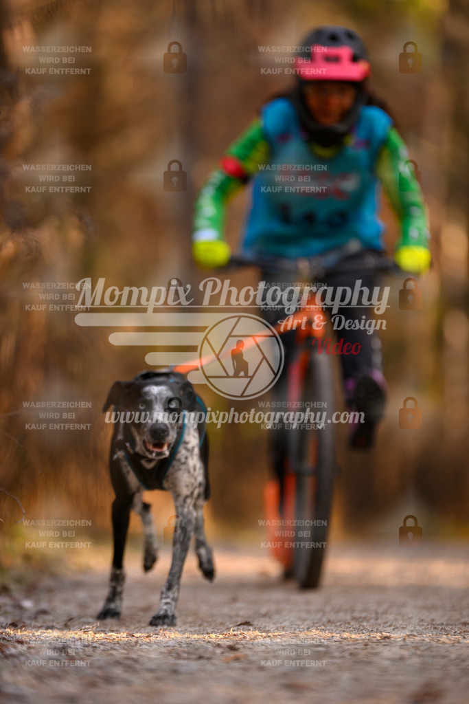 MompixPhotography_DM_AKDM_SO_2025_Scooter-209 | PayLife