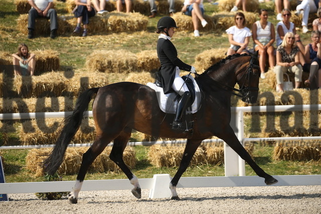 Birkhof_2022_GrandPrixSpecial_Franziska Stieglmaier_DSP Dauphin (4) | Alle Fotos der Reiterjournal Fotografin Doris Matthaes im Reiterjournal Online-Fotoshop. - Realisiert mit Pictrs.com