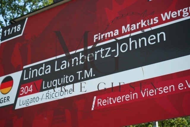 VAN02468 | Pferdefotografie in Köln und Umgebung – emotionale Pferdeshootings, Turnierfotografie und besondere Momente zwischen Pferd und Mensch. - Realisiert mit Pictrs.com