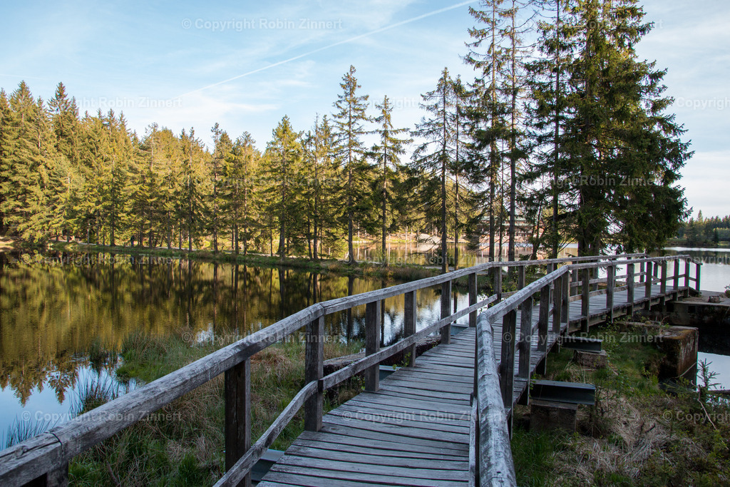 20200512-Fichtelsee-(C)RobinZinnert-IMG_0750 | Robin Zinnert - Realisiert mit Pictrs.com