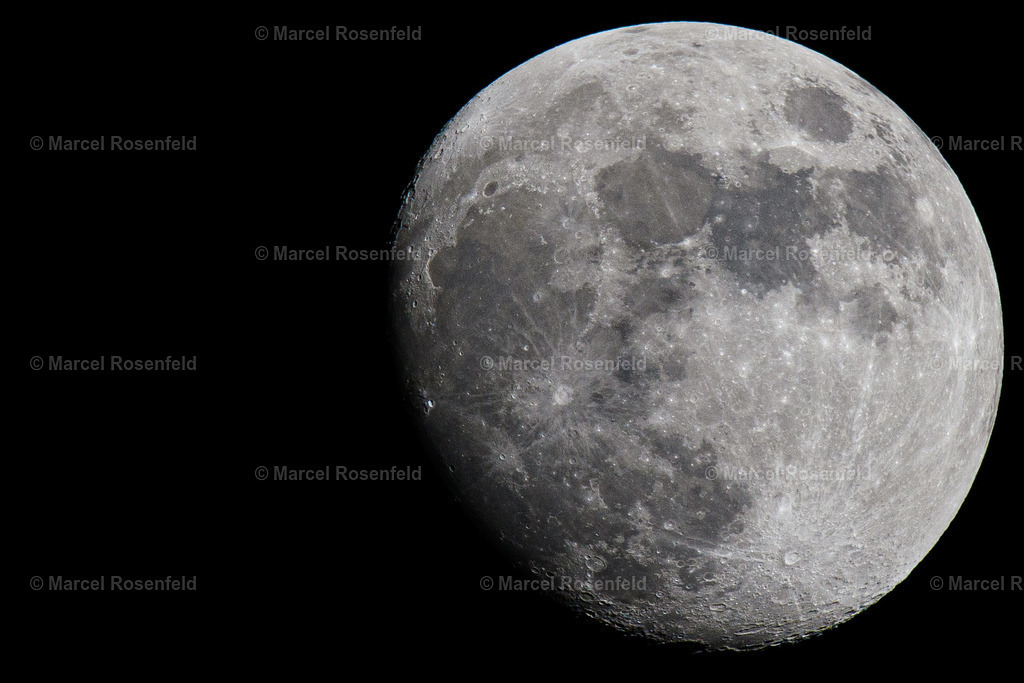 _DSC4926 | foto-rosenfeld