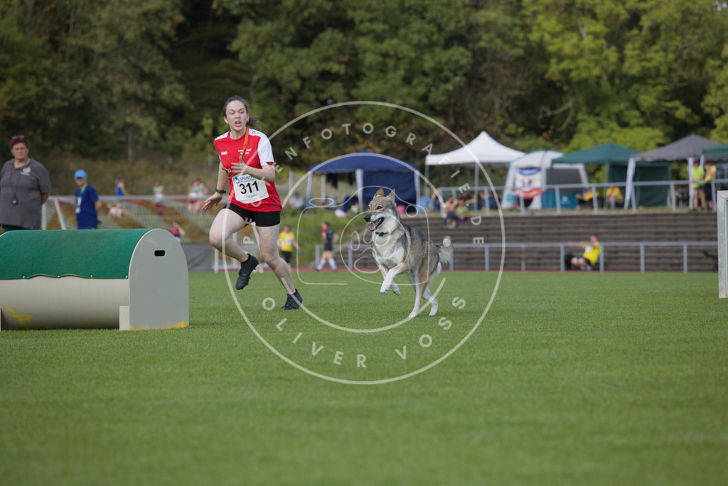 0L8A3671 | Hundefotografie, Tierfotograf, Pfotenfotografie, Fotoshooting Hund, Hunde Portrait, Hundesport, Hundeportraits, Heideshooting, Hunde, Sportfotograf, Hundefotograf, Turnierhundsport, THS,  - Realisiert mit Pictrs.com