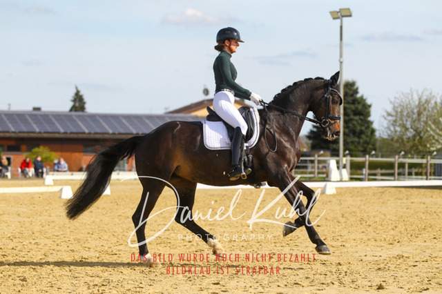 DKP43333 | Turniersportfotografie; Pferdefotografie; Dressurfotografie