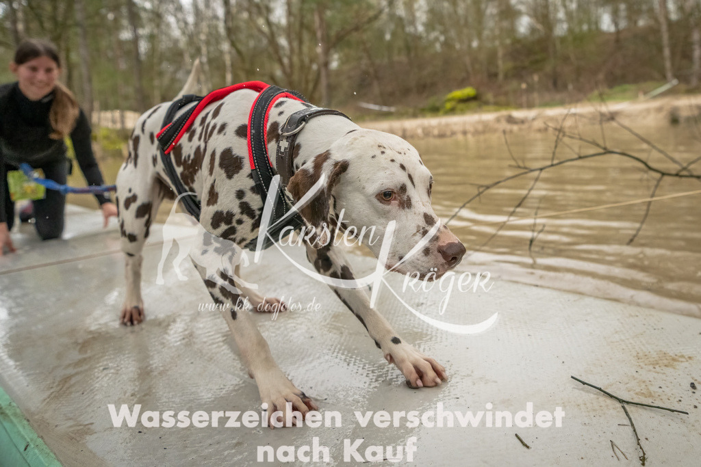 0900_ZZ90082-Bearbeitet | kk-dogfotos