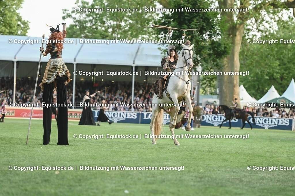 20230526_Pferdenacht_0269 | equistock