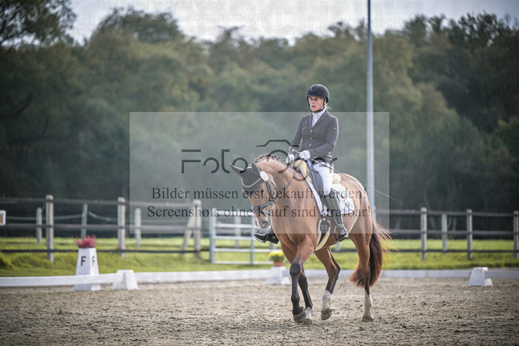 DOS_B214 | Entdecke hochwertige Reitturnierfotos von Foto Oger. Professionell, emotional und authentisch – jetzt Lieblingsmomente im Shop bestellen.Deutschlandweite Turnierfotografie. - Realisiert mit Pictrs.com