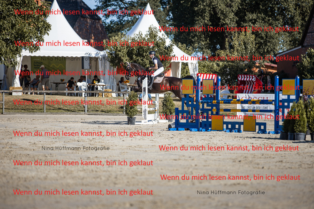 BK1A7475 | Turnierbilder Turnierfotos Nina Hüffmann Turnierfotografie Pferdefotografie Tierzeichnung Haustierzeichnung Pferdezeichnung Hundezeichnung Videograf  - Realisiert mit Pictrs.com