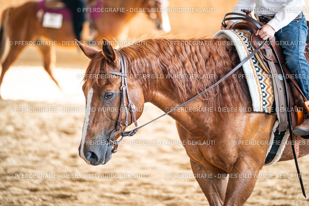 DSC09047 | Pferdegrafie