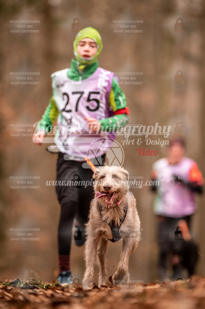 AKM_ST_2023_Son_Run-85 | PayLife