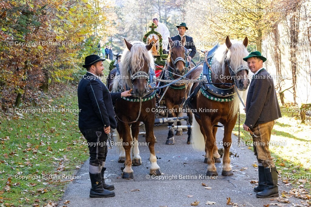 LL24-274 | foto-bettina-krinner - Realisiert mit Pictrs.com