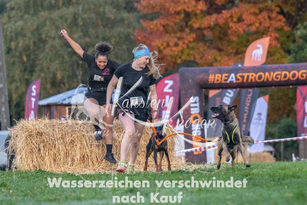 0817_ZZ90155-Bearbeitet | kk-dogfotos