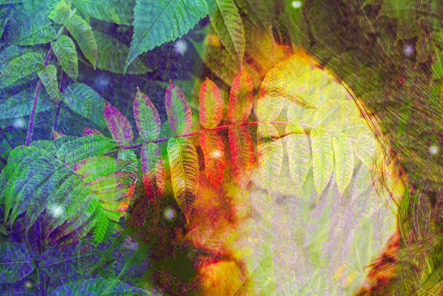 Jungle (I Am Nature Series) | In the I Am Nature series, a woman exists in a state of assimilation with the environment. Her eyes and mouth are obscured by natural elements, depriving her of the ability to speak or see. This visual metaphor addresses the high expectations imposed on a woman’s appearance and the pain of being reduced to a passive decoration, stripped of individuality and intellect. Profound isolation behind the surface aesthetic is often the price of beauty. This is a preview image. The original has a resolution of 10630 x 7087 px. - Realisiert mit Pictrs.com