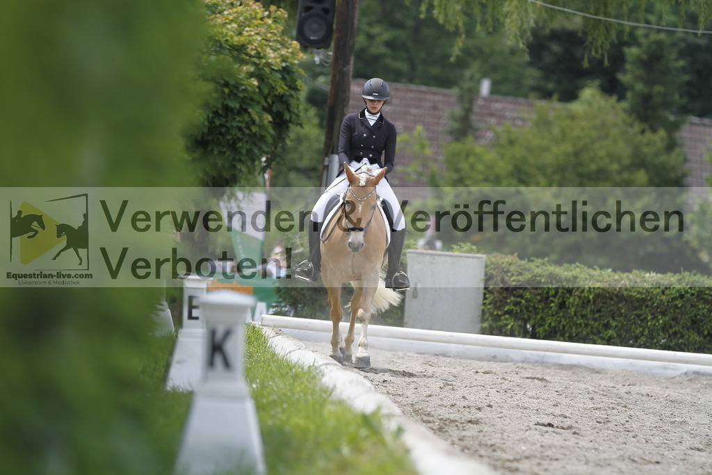 _MG_9503 | equestrian-live-com
