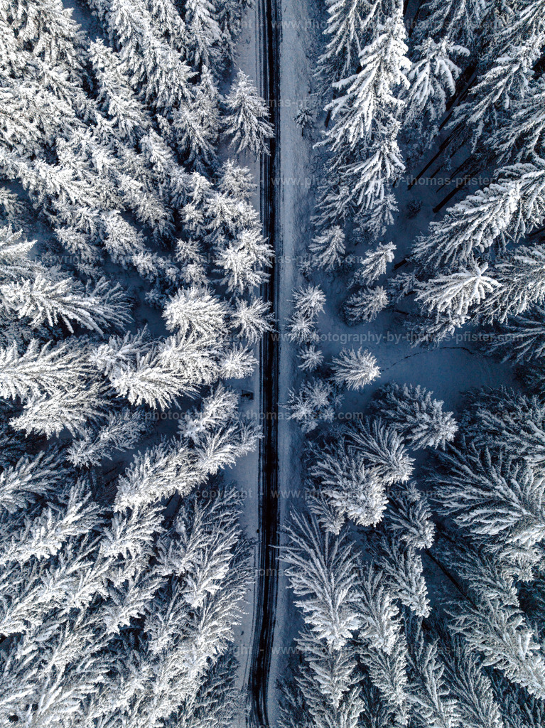 Wald im Winter copyright  Thomas Pfister-1 | PHOTOGRAPHY BY THOMAS PFISTER