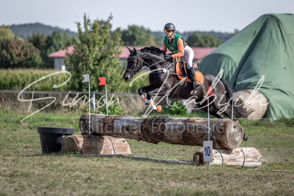 20250907-_3LI2124 | Tierfotografie Pferde, Hunde, Katzen, Haustiere.
Turnierfotografie Reitturniere, Reiten, Springreiten, Dressur in Hanau, dem Main-Kinzig-Kreis und dem Rhein-Main- Gebiet um Frankfurt