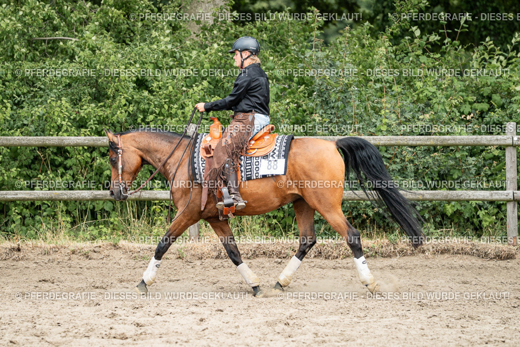 DSC01944 | Pferdegrafie