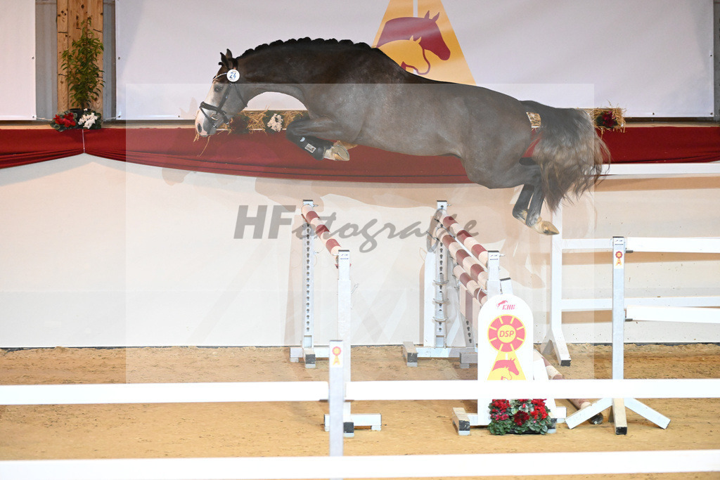 Kat-Nr. 24 Hickstead White_Zeil_1230909 | hf-fotografie - Realisiert mit Pictrs.com