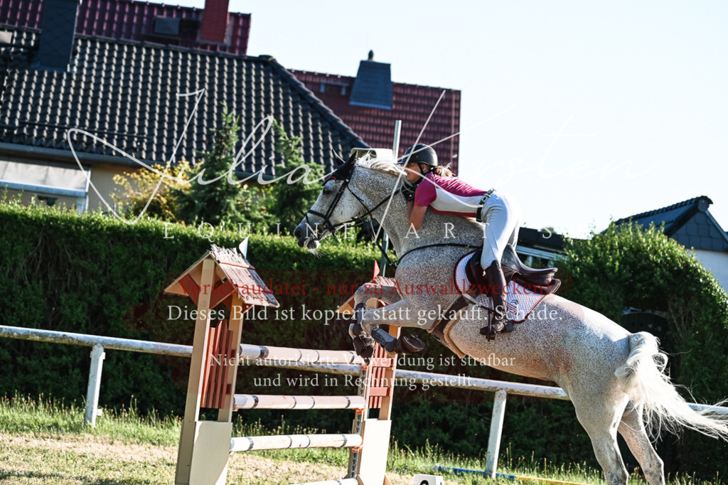 DSC_3028 | Pferde- und Turnierfotografie in Westsachsen. Pferdeportraits, Auftragszeichnungen und intuitive Kunst.