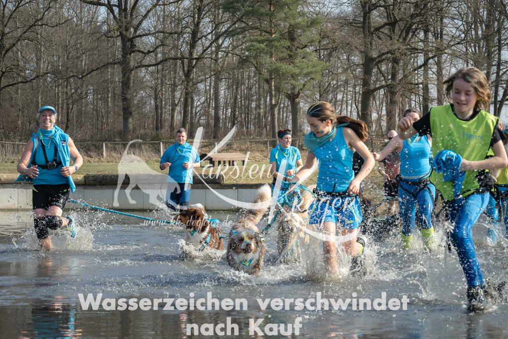 1347_ZZ98149 | kk-dogfotos