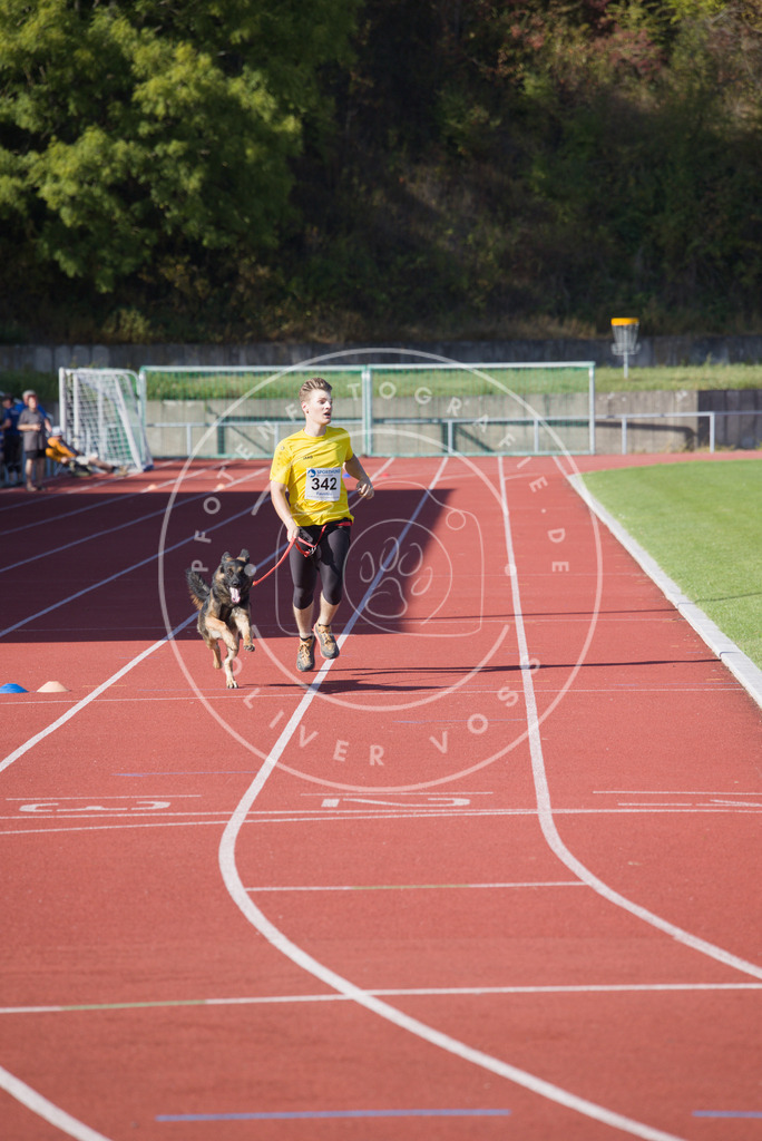 0L8A9027 | Hundefotografie, Tierfotograf, Pfotenfotografie, Fotoshooting Hund, Hunde Portrait, Hundesport, Hundeportraits, Heideshooting, Hunde, Sportfotograf, Hundefotograf, Turnierhundsport, THS,  - Realisiert mit Pictrs.com