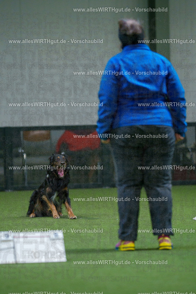 7R503985 | Professionelle Tierfotografie in Mönchengladbach von Daniel Wirth (allesWIRTHgut). Liebevolle & natürliche Bilder von Hunden & Katzen für unvergessliche Erinnerungen.