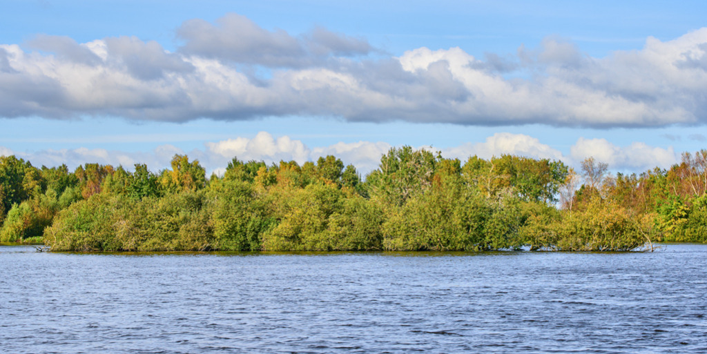 Herbstbäume am See | Der Noorsgraben bildet einen mehrere Hektar großen See, in Sarzbüttel, Kreis Dithmarschen in Schleswig-Holstein. Am Seeufer stehen belaubte Bäume im Herbst, sie bilden eine Reihe mit dem darüber hinwegziehenden Wolkenband. — Auflösung des Originals: 8224 x 4112 px. - Realisiert mit Pictrs.com