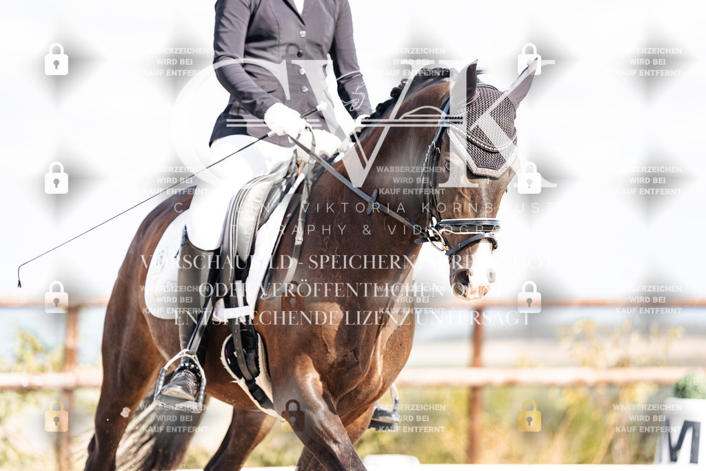CK902107 | Turnierfotografie Pferdefotografie Trier Rheinland-Pfalz Pferdesport Reitsport Tierfotografie Sportfotografie Pferdevideo Pferdevideografie Equestrianvideography equestrianphotography  - Realisiert mit Pictrs.com