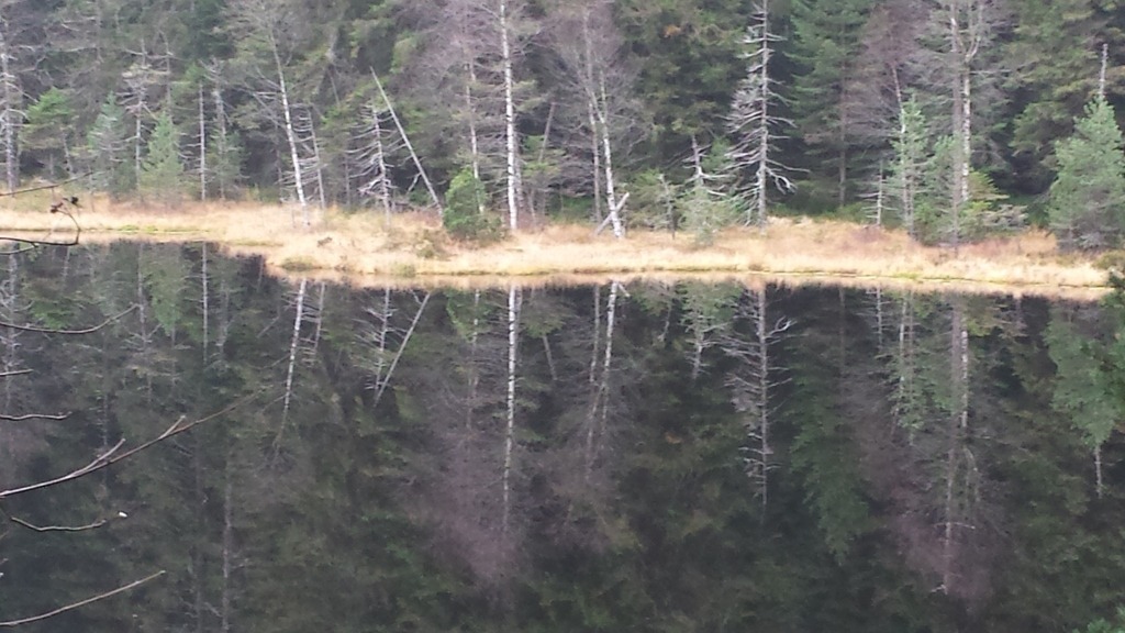 20161126_130114 | klausulrichmoeller - Realisiert mit Pictrs.com