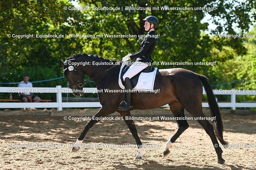 20230715_06_Dressurpferdeprfg. Kl.A_0370 | equistock