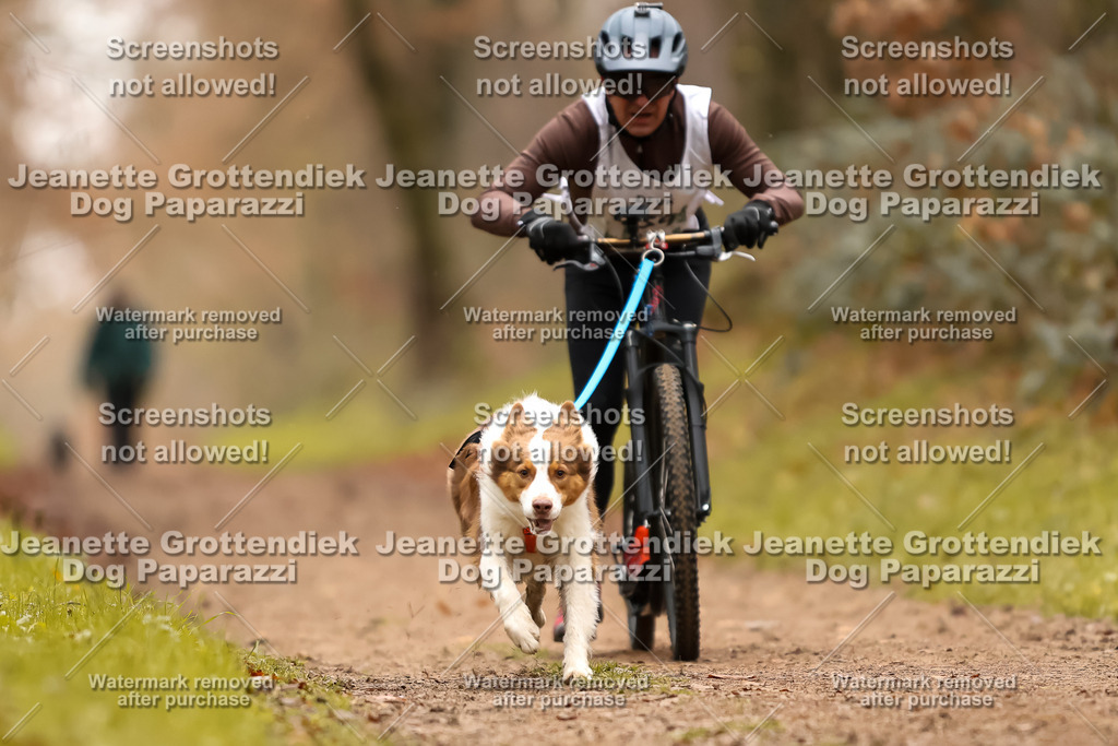 Dog Paparazzi - Speedhunter Mannheim  2025-436 | Dog Paparazzi Jeanette Grottendiek Fotografie & Videografie