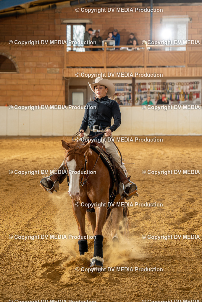 MIT01053 | dv-media-shop - Realisiert mit Pictrs.com