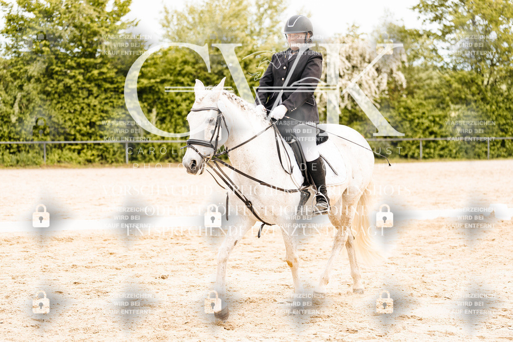 CK904804 | Turnierfotografie Pferdefotografie Trier Rheinland-Pfalz Pferdesport Reitsport Tierfotografie Sportfotografie Pferdevideo Pferdevideografie Equestrianvideography equestrianphotography  - Realisiert mit Pictrs.com