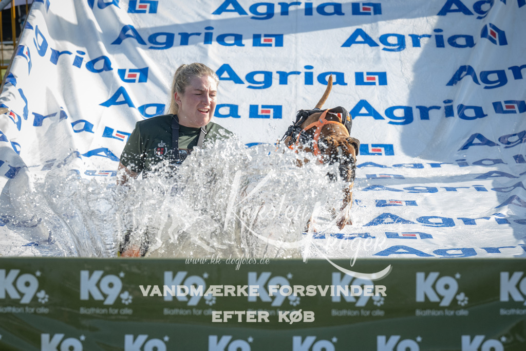 0920_ZZ94923 | kk-dogfotos