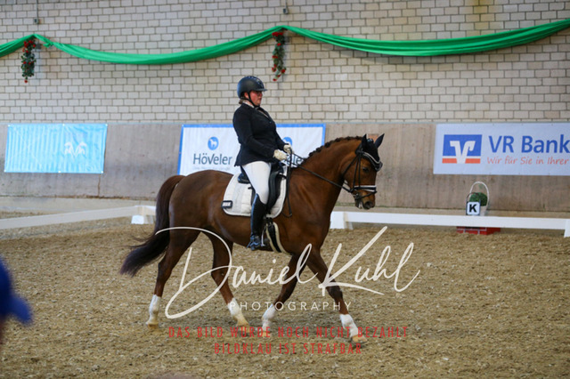 IMG_2953 | Turnierfotos kaufen im Webshop von Daniel Kuhl Photography – entdecke professionelle Reitsportfotos aus Turnieren & Events. Hochwertige Turnierbilder online bestellen & sichern. Jetzt Fotos von Reitsportturnieren kaufen!