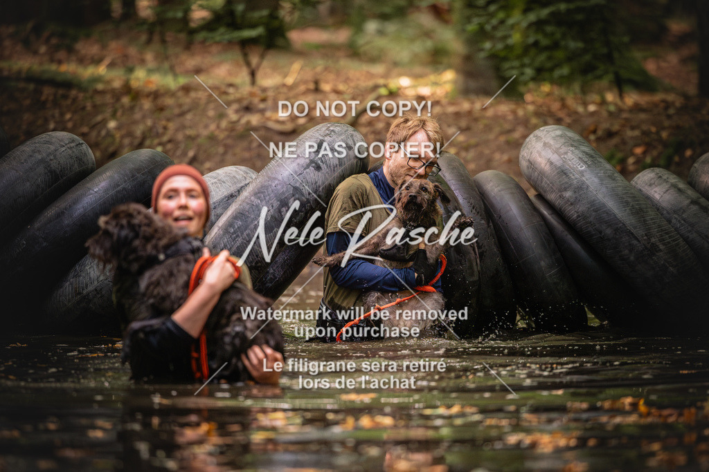 nelerasche_SaWingst0845-1000_85 | nelerasche