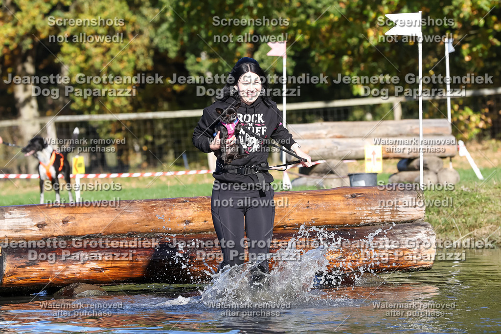 Dog Paparazzi - Strongdog 10-25-8764 | Dog Paparazzi Jeanette Grottendiek Fotografie & Videografie - Realisiert mit Pictrs.com