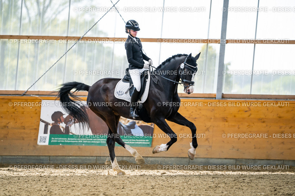 DSC05958 | Pferdegrafie