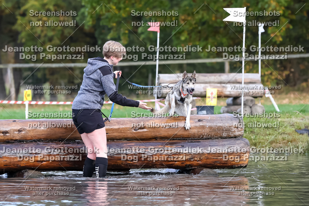 Dog Paparazzi - Strongdog 10-25-6871 | Dog Paparazzi Jeanette Grottendiek Fotografie & Videografie - Realisiert mit Pictrs.com