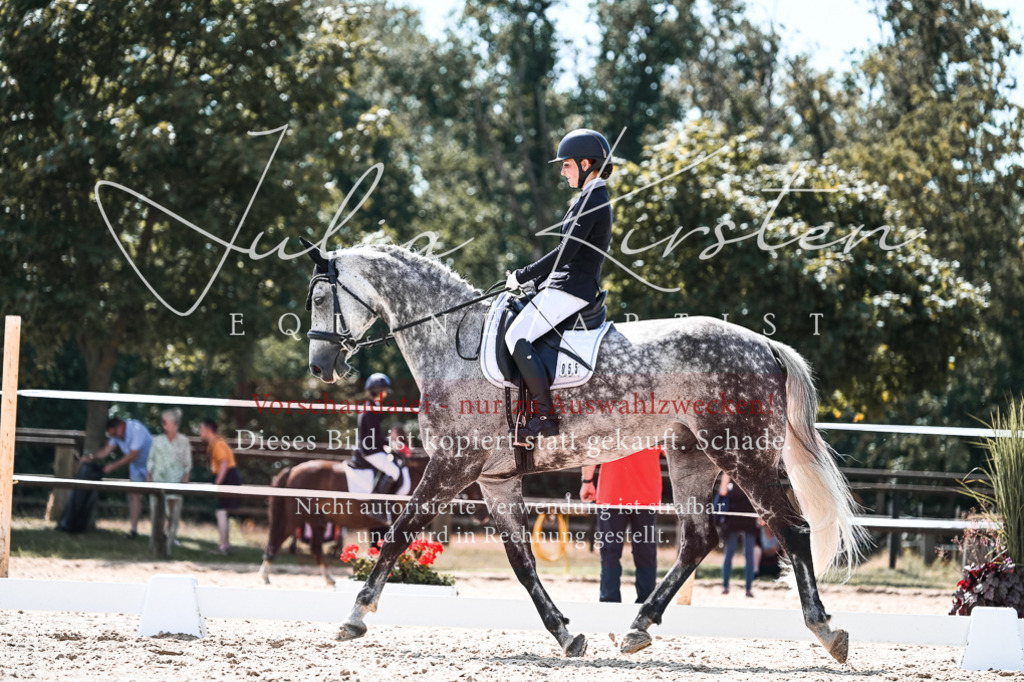 DSC_5583 | Pferde- und Turnierfotografie in Westsachsen. Pferdeportraits, Auftragszeichnungen und intuitive Kunst.