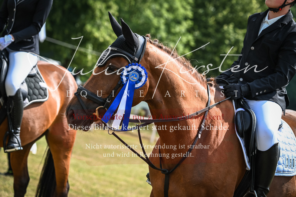 DSC_8620 | Pferde- und Turnierfotografie in Westsachsen. Pferdeportraits, Auftragszeichnungen und intuitive Kunst.