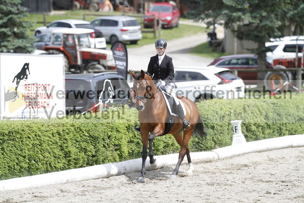 _MG_8928 | equestrian-live-com