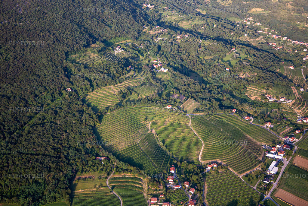 Vue aérienne: Vignobles à le quartier Kromberk in Nova Gorica dans le département Slovénie, Slovénie. Photo: IMG_137542.jpg prise le 14/07/2023 par Werner Riehm/FLY-FOTO.euRésolution de l'original: 5472 x 3648 px