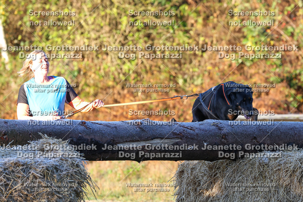 Dog Paparazzi - Strongdog 10-25-614 | Dog Paparazzi Jeanette Grottendiek Fotografie & Videografie - Realisiert mit Pictrs.com