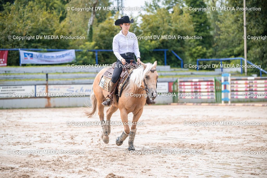 ZS2_4034 | dv-media-shop - Realisiert mit Pictrs.com