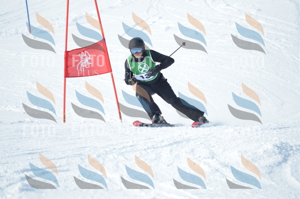 D9046 | holidayphoto