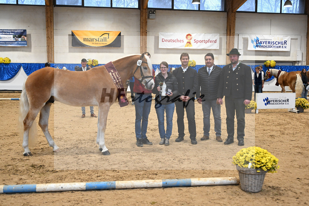 Kat-Nr. 16 nn v. Neustart_Obermeyer_48254222 | hf-fotografie - Realisiert mit Pictrs.com