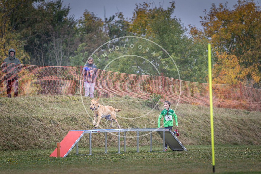 Pfotenfotografie_DV3A0312 | Hundefotografie, Tierfotograf, Pfotenfotografie, Fotoshooting Hund, Hunde Portrait, Hundesport, Hundeportraits, Heideshooting, Hunde, Sportfotograf, Hundefotograf, Turnierhundsport, THS,  - Realisiert mit Pictrs.com